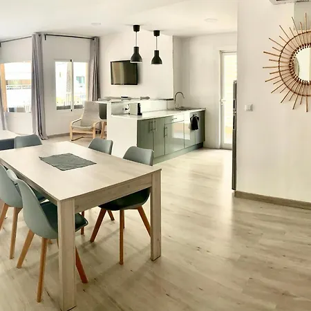Palmeras * Palma Nova (Mallorca)