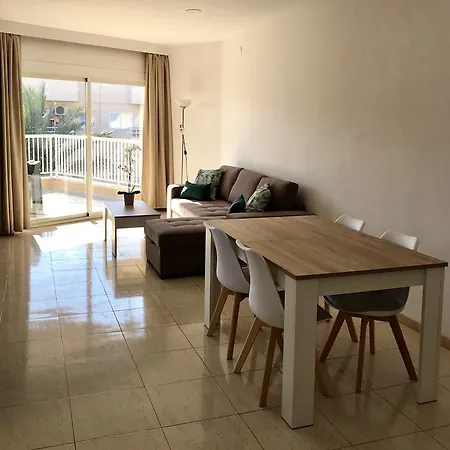 Palmeras Palma Nova (Mallorca)