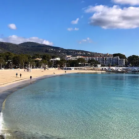 Palmeras Apartmán Palmanova
